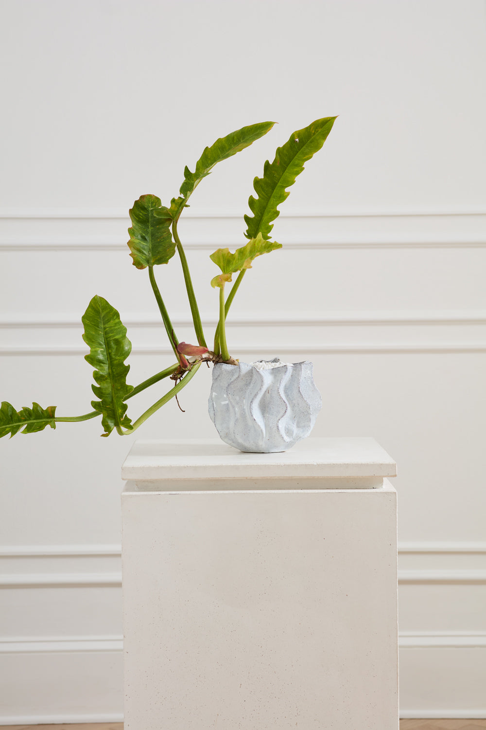 Sono Collection Set of 2 By Accent Decor | Planters, Troughs & Cachepots | Modishstore - 6