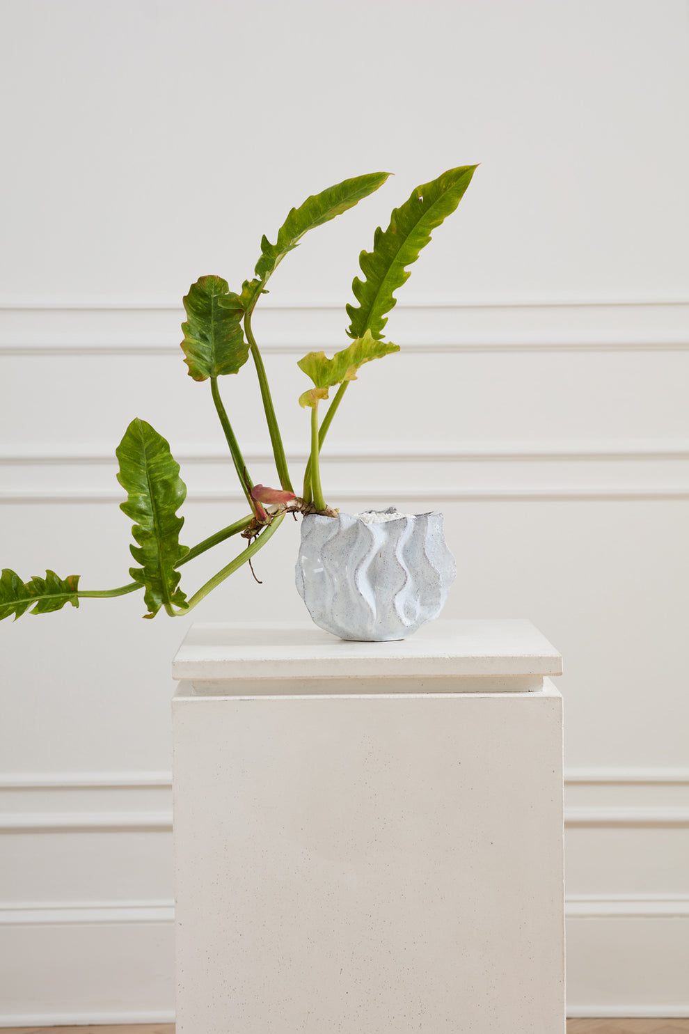 Sono Collection Set of 2 By Accent Decor | Planters, Troughs & Cachepots | Modishstore - 6