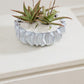 Sono Collection Set of 2 By Accent Decor | Planters, Troughs & Cachepots | Modishstore - 8