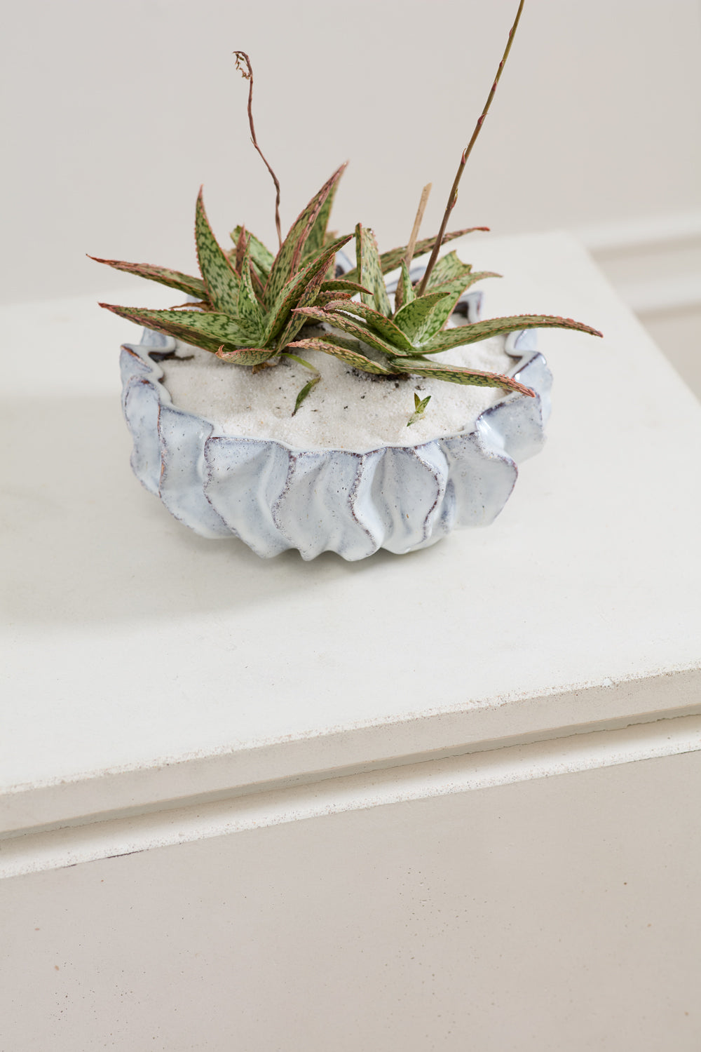 Sono Collection Set of 2 By Accent Decor | Planters, Troughs & Cachepots | Modishstore - 8