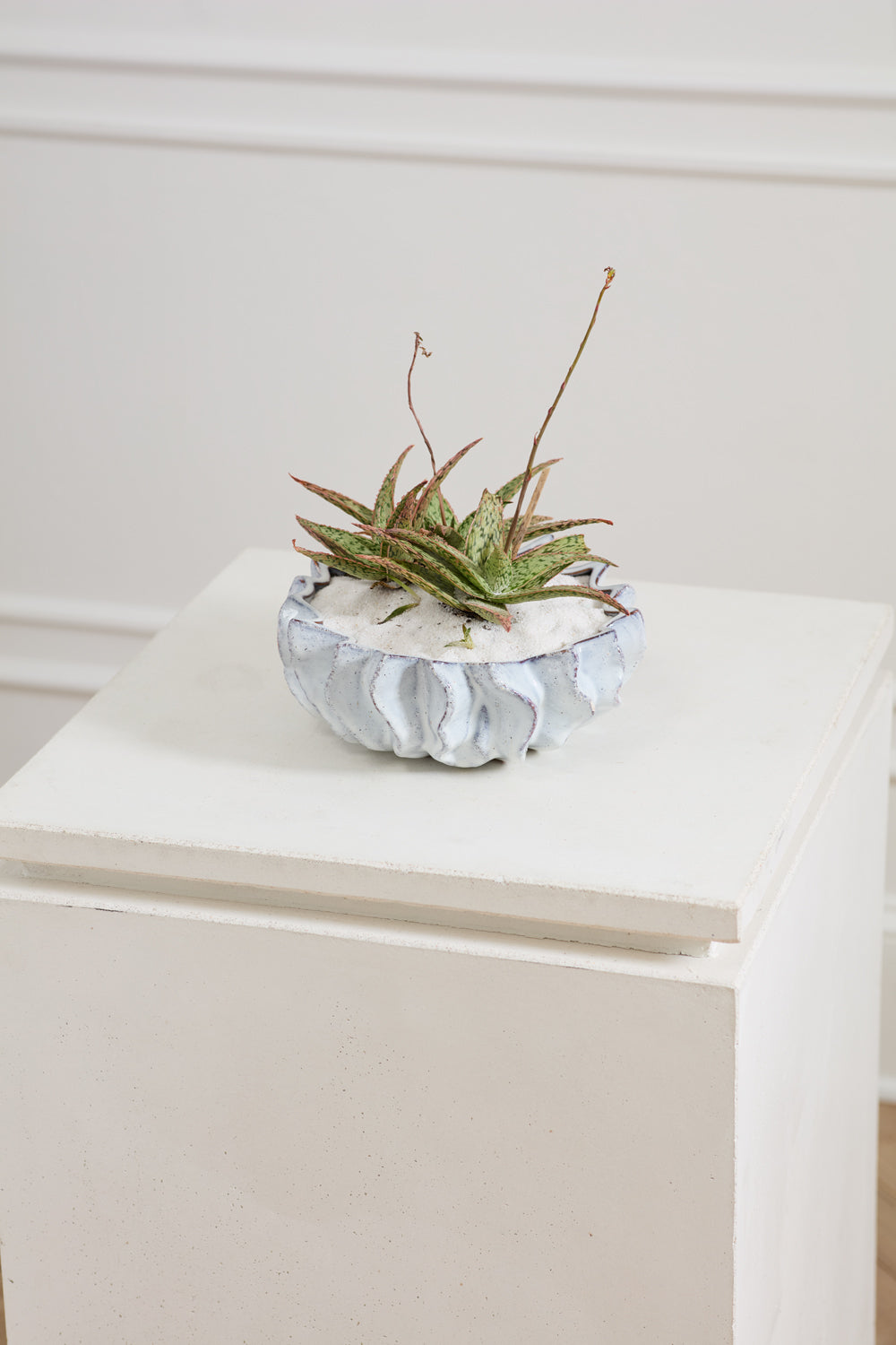 Sono Collection Set of 2 By Accent Decor | Planters, Troughs & Cachepots | Modishstore - 9