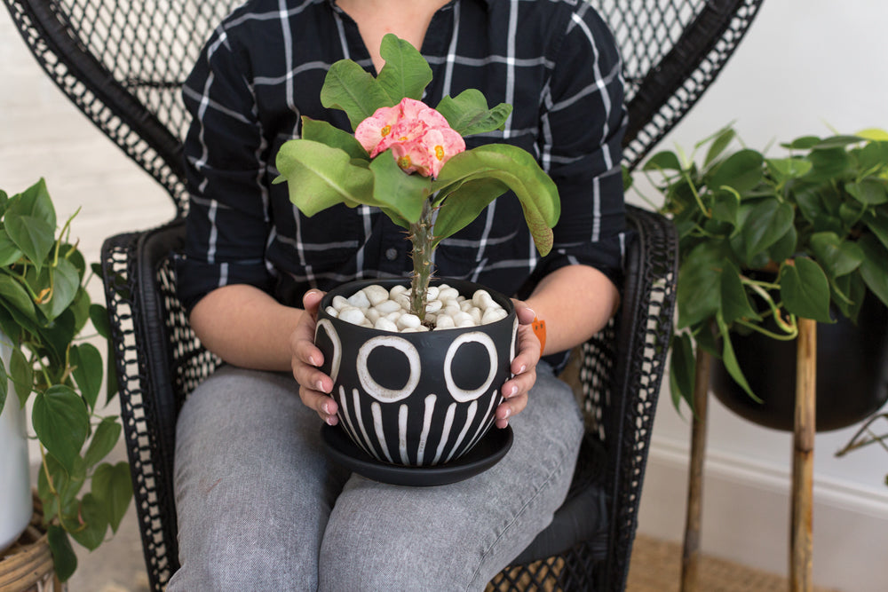 Hootie Hoo Pot Set of 2 By Accent Decor | Planters, Troughs & Cachepots | Modishstore - 5