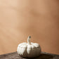 Hallow's Eve Pumpkin Set of 4 By Accent Decor | Decor | Modishstore - 10