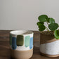 Jazzy Mug Set of 8 By Accent Decor | Planters, Troughs & Cachepots | Modishstore - 5