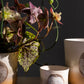 Hala Pot Set of 8 By Accent Decor | Planters, Troughs & Cachepots | Modishstore - 5