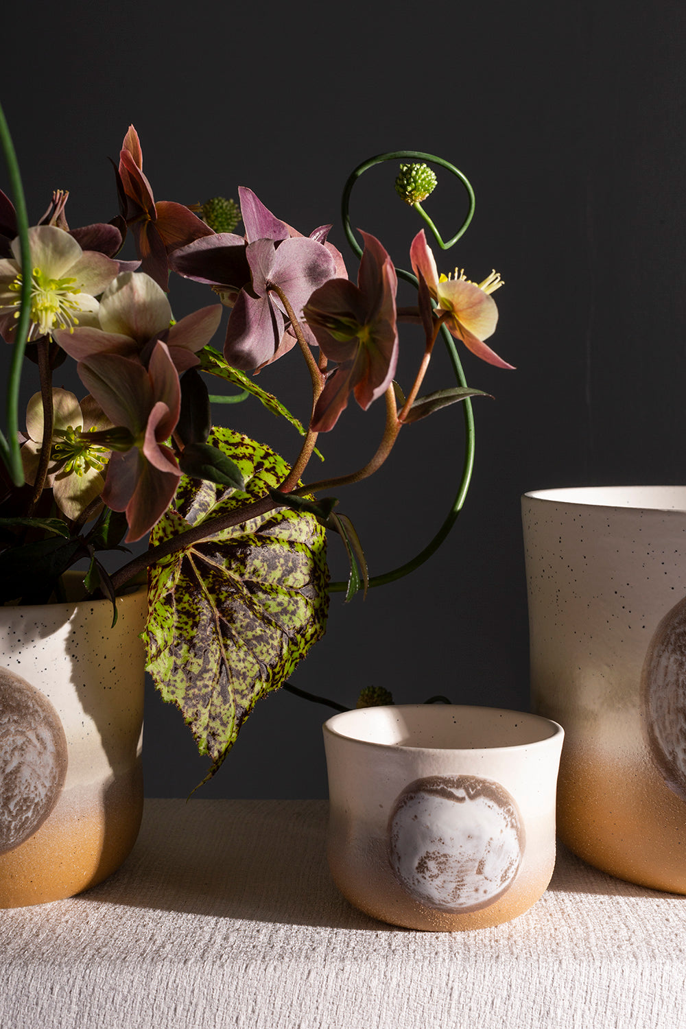 Hala Pot Set of 8 By Accent Decor | Planters, Troughs & Cachepots | Modishstore - 5