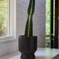 Elliott Pot By Accent Decor | Stands | Modishstore - 8