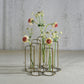 Archer Cluster Vase - 7 Tubes Set Of 4 By HomArt | Vases | Modishstore - 2