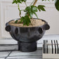 Black Reverie Bowl By Accent Decor | Decorative Bowls | Modishstore - 5