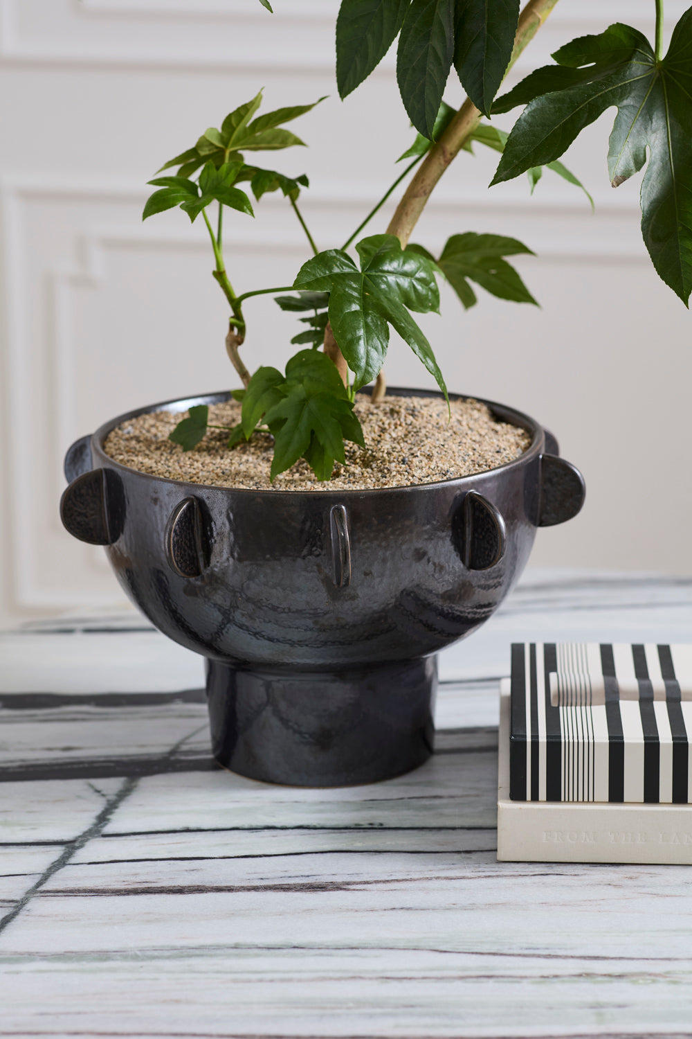 Black Reverie Bowl By Accent Decor | Decorative Bowls | Modishstore - 5