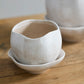 Iona Pot By Accent Decor | Planters, Troughs & Cachepots | Modishstore - 9