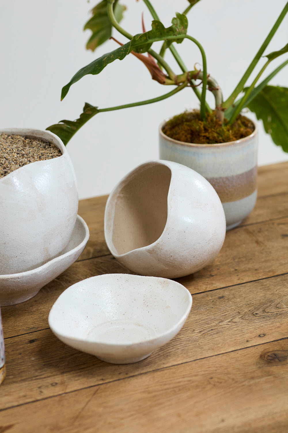 Iona Pot By Accent Decor | Planters, Troughs & Cachepots | Modishstore - 8