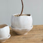 Iona Pot By Accent Decor | Planters, Troughs & Cachepots | Modishstore - 6