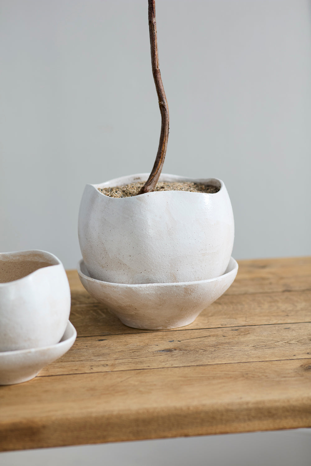 Iona Pot By Accent Decor | Planters, Troughs & Cachepots | Modishstore - 6