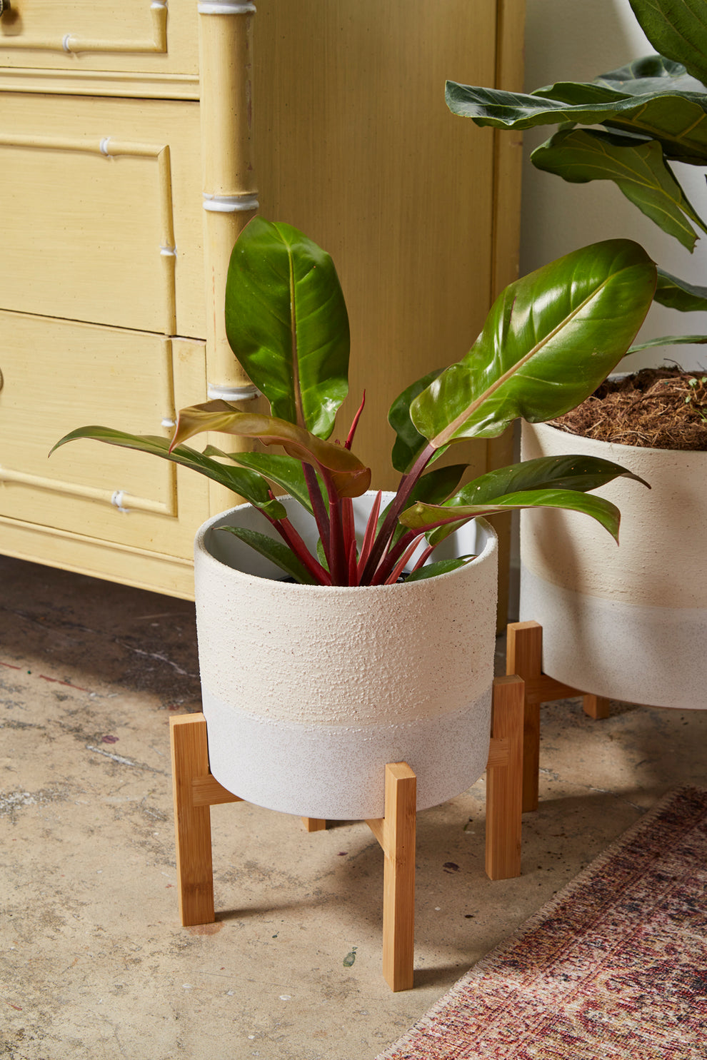 Calvia Pot with Stand Set of 2 By Accent Decor | Planters, Troughs & Cachepots | Modishstore - 5