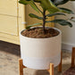 Calvia Pot with Stand Set of 2 By Accent Decor | Planters, Troughs & Cachepots | Modishstore - 7