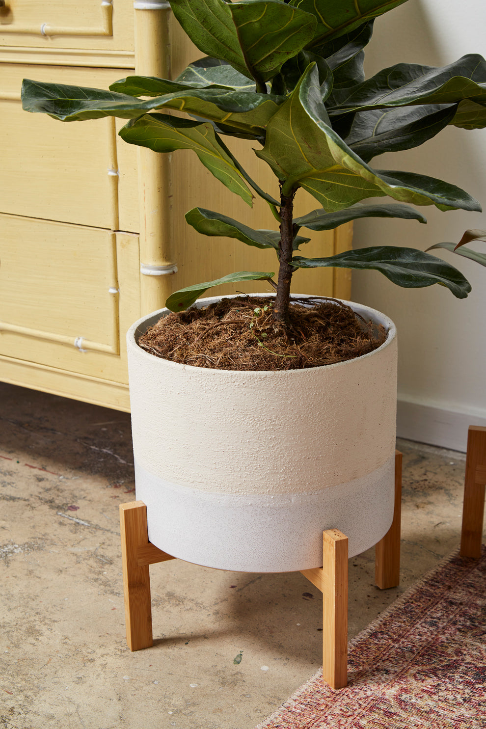Calvia Pot with Stand Set of 2 By Accent Decor | Planters, Troughs & Cachepots | Modishstore - 7