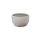 Lottie Bowl Set of 8 By Accent Decor | Decorative Bowls | Modishstore - 2