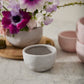 Lottie Bowl Set of 8 By Accent Decor | Decorative Bowls | Modishstore - 6