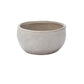 Lottie Bowl Set of 8 By Accent Decor | Decorative Bowls | Modishstore - 7