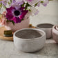 Lottie Bowl Set of 8 By Accent Decor | Decorative Bowls | Modishstore - 8