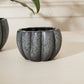Spiced Pumpkin Pot Set of 4 By Accent Decor | Planters, Troughs & Cachepots | Modishstore - 17
