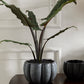Spiced Pumpkin Pot Set of 4 By Accent Decor | Planters, Troughs & Cachepots | Modishstore - 14