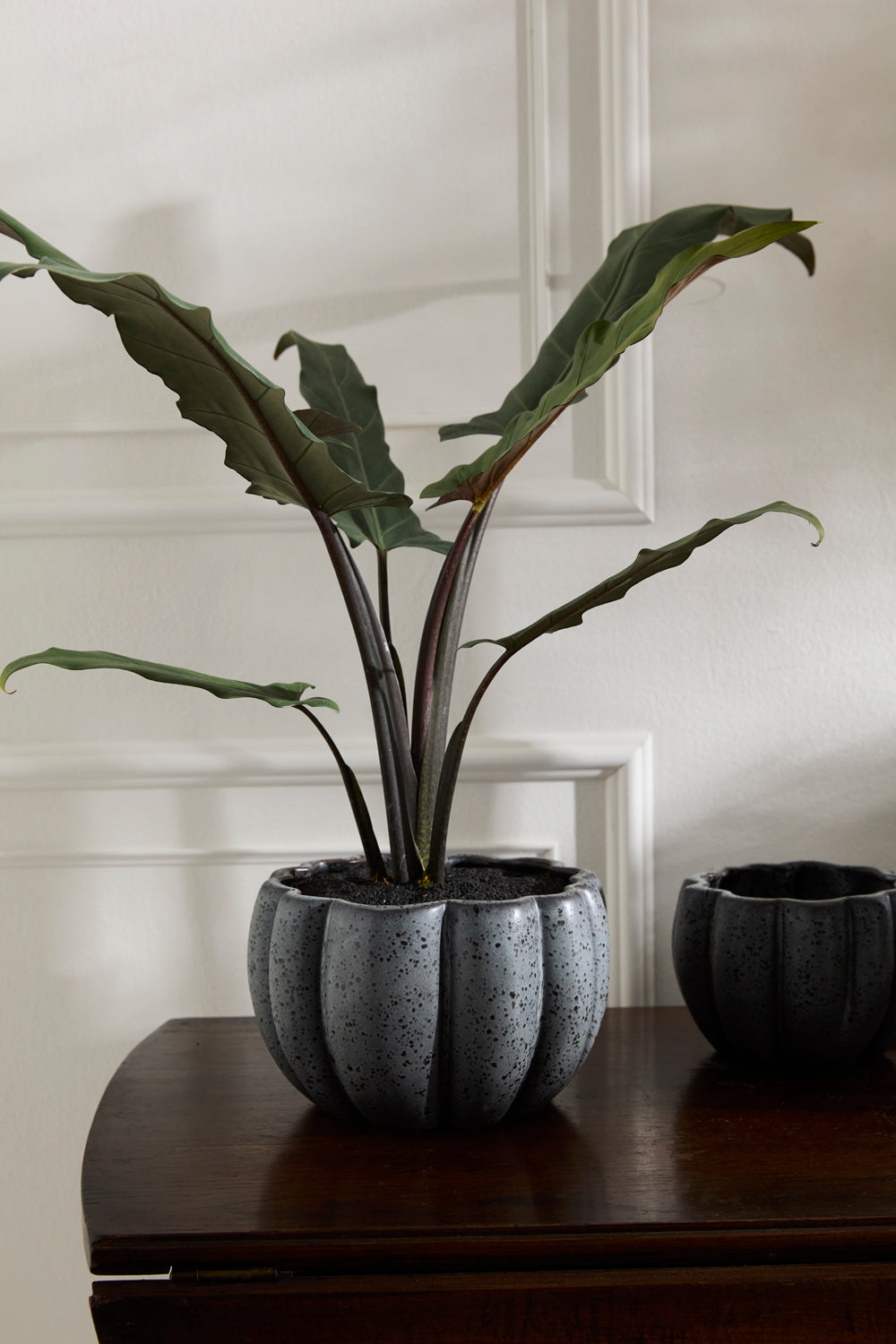 Spiced Pumpkin Pot Set of 4 By Accent Decor | Planters, Troughs & Cachepots | Modishstore - 14