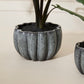 Spiced Pumpkin Pot Set of 4 By Accent Decor | Planters, Troughs & Cachepots | Modishstore - 15