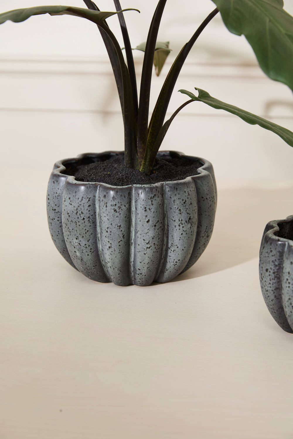 Spiced Pumpkin Pot Set of 4 By Accent Decor | Planters, Troughs & Cachepots | Modishstore - 15