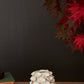 Ginkgo Collection Set of 4 By Accent Decor | Stands | Modishstore - 4