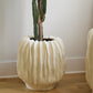 Windswept Collection By Accent Decor | Decorative Bowls | Modishstore - 5