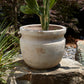 Balos Planter Set of 2 By Accent DŽcor