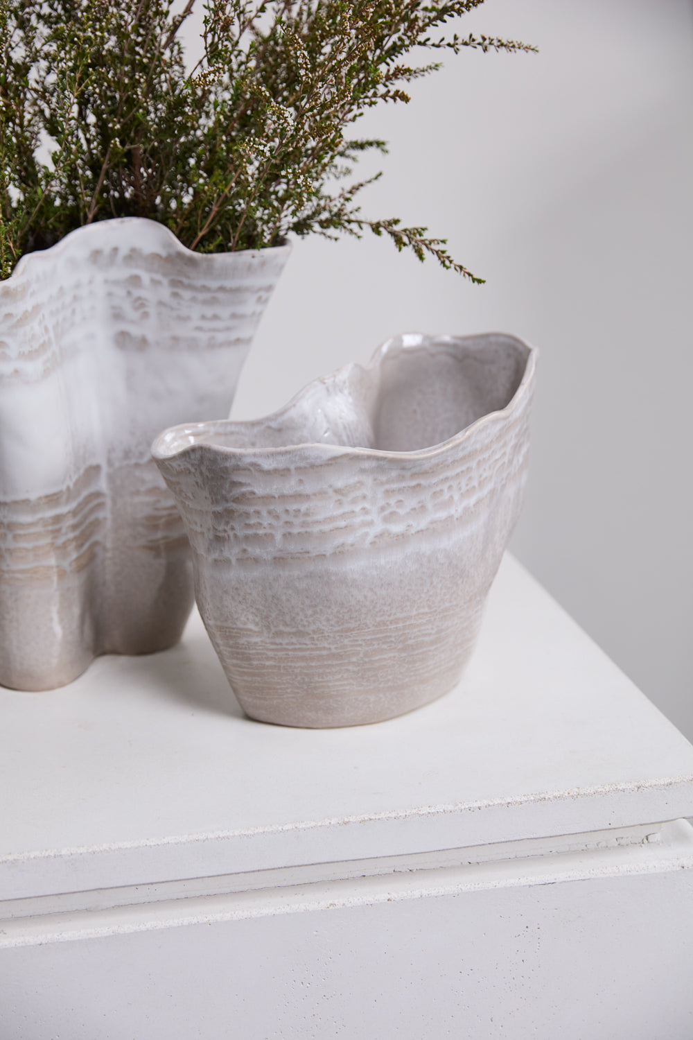 Claribel Vase Set of 2 By Accent Decor | Vases | Modishstore - 7