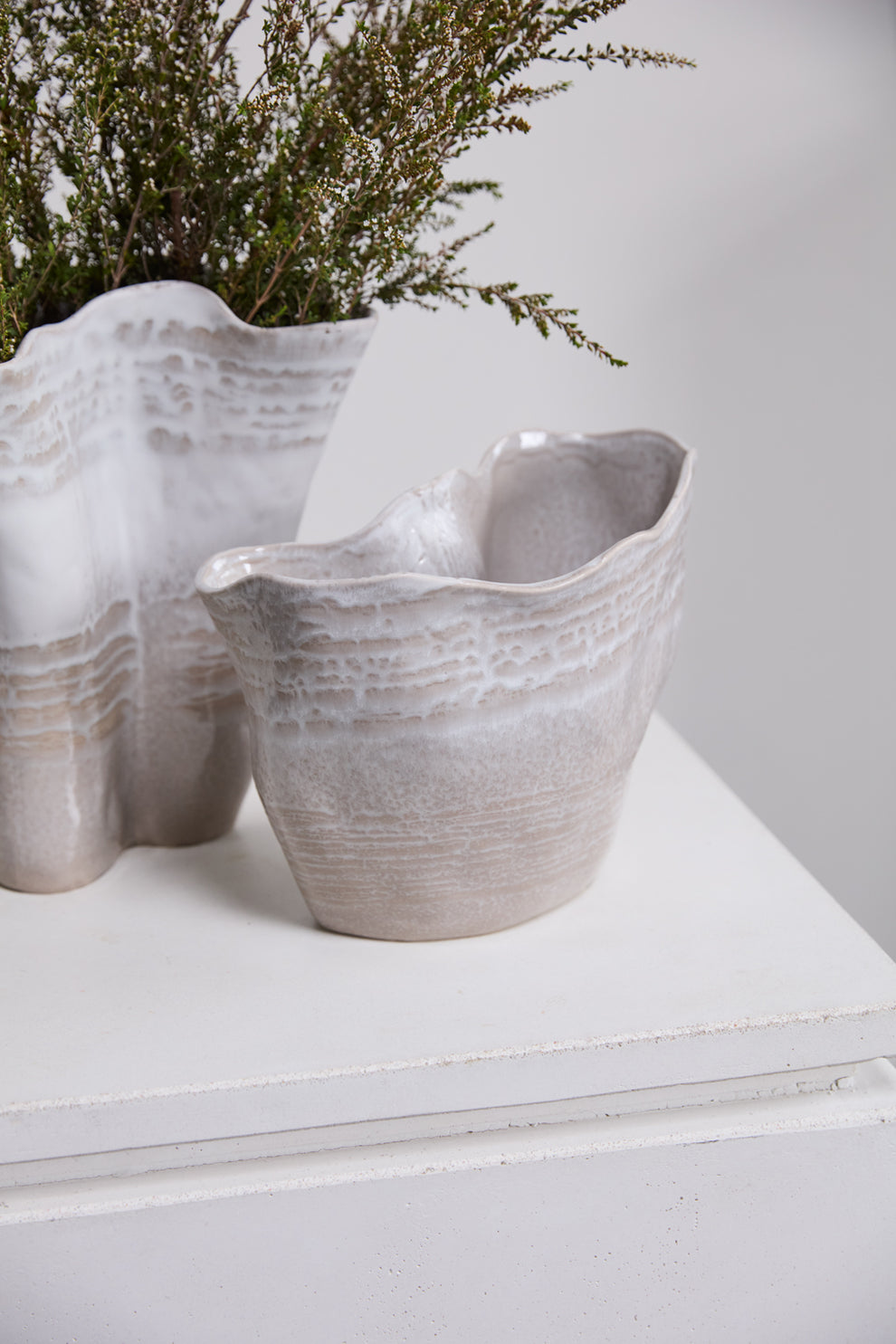 Claribel Vase Set of 2 By Accent Decor | Vases | Modishstore - 7