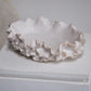 Sylvia Bowl By Accent Decor | Decorative Bowls | Modishstore - 5