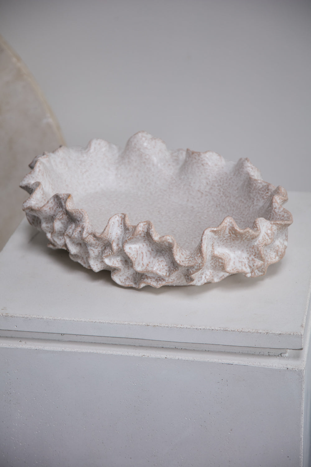 Sylvia Bowl By Accent Decor | Decorative Bowls | Modishstore - 5