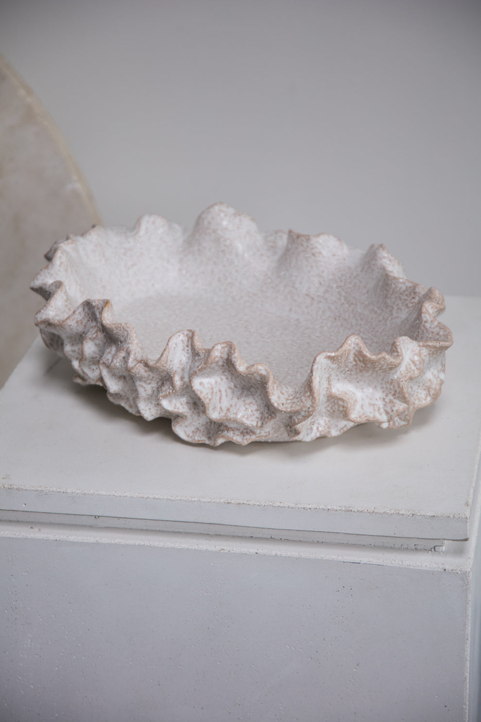 Sylvia Bowl By Accent Decor | Decorative Bowls | Modishstore - 5
