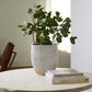 Riptide Collection By Accent Decor | Stands | Modishstore - 7
