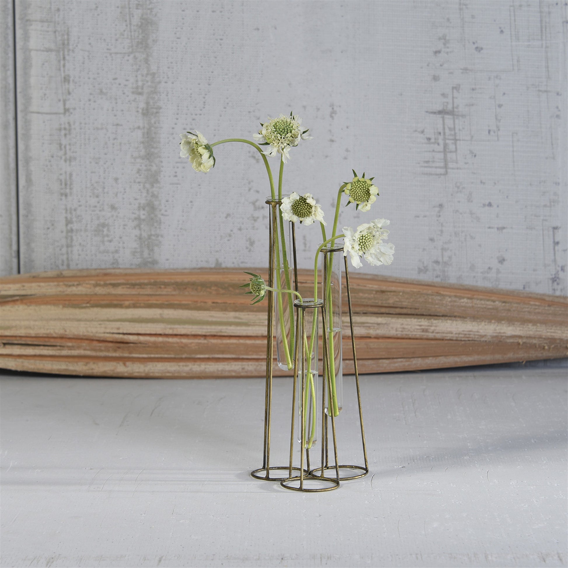 Archer Cluster Vase - 3 Tubes Set Of 4 By HomArt | Vases | Modishstore - 2