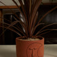 Soluna Collection Set of 8 By Accent Decor | Planters, Troughs & Cachepots | Modishstore - 5