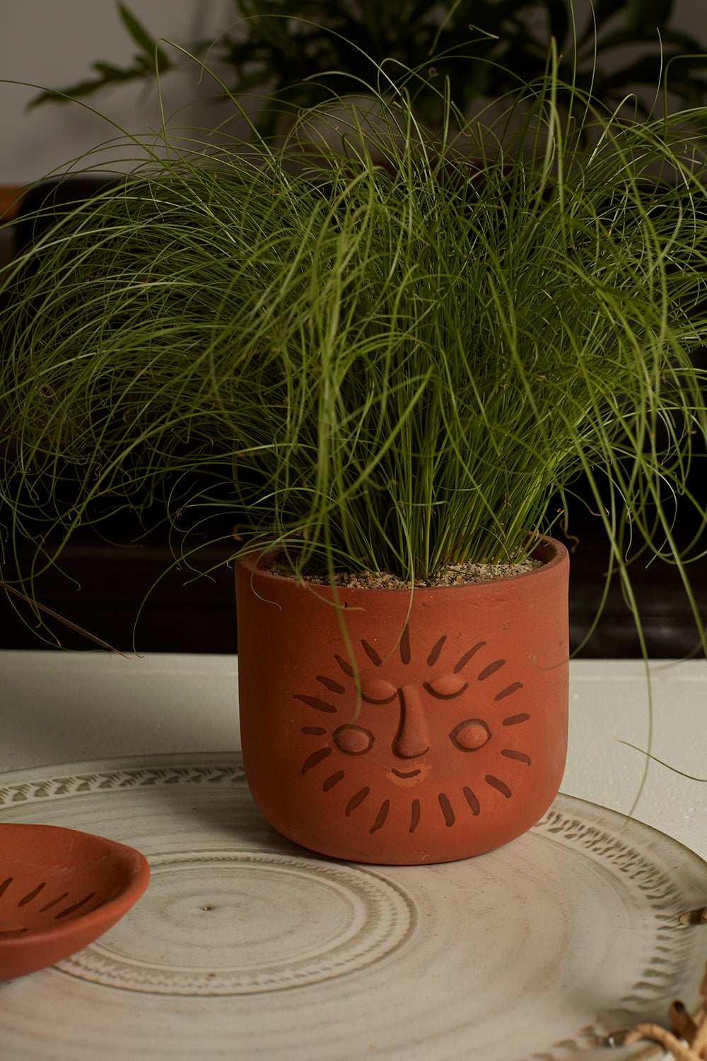 Soluna Collection Set of 8 By Accent Decor | Planters, Troughs & Cachepots | Modishstore - 7
