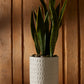 Dache Pot Set of 2 By Accent Decor | Planters, Troughs & Cachepots | Modishstore - 7