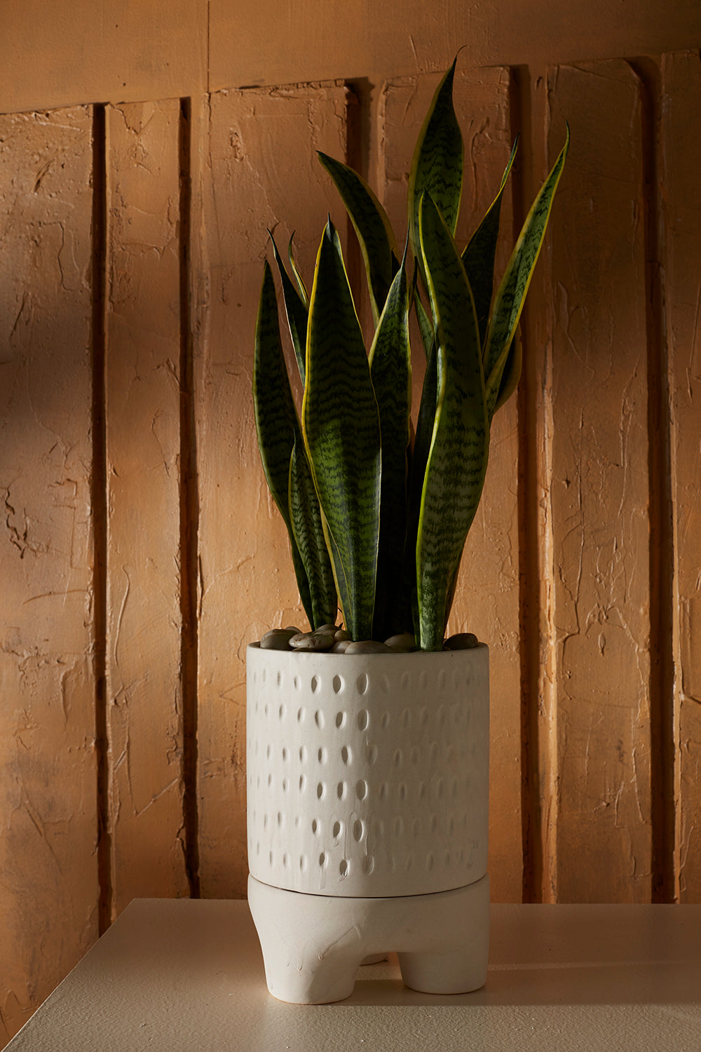 Dache Pot Set of 2 By Accent Decor | Planters, Troughs & Cachepots | Modishstore - 7