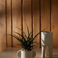 Dache Pot Set of 2 By Accent Decor | Planters, Troughs & Cachepots | Modishstore - 17