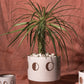 Solar Footed Pot Set of 8 By Accent Decor | Planters, Troughs & Cachepots | Modishstore - 9