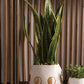 Wonder Pot Sale Set of 4 By Accent DŽcor