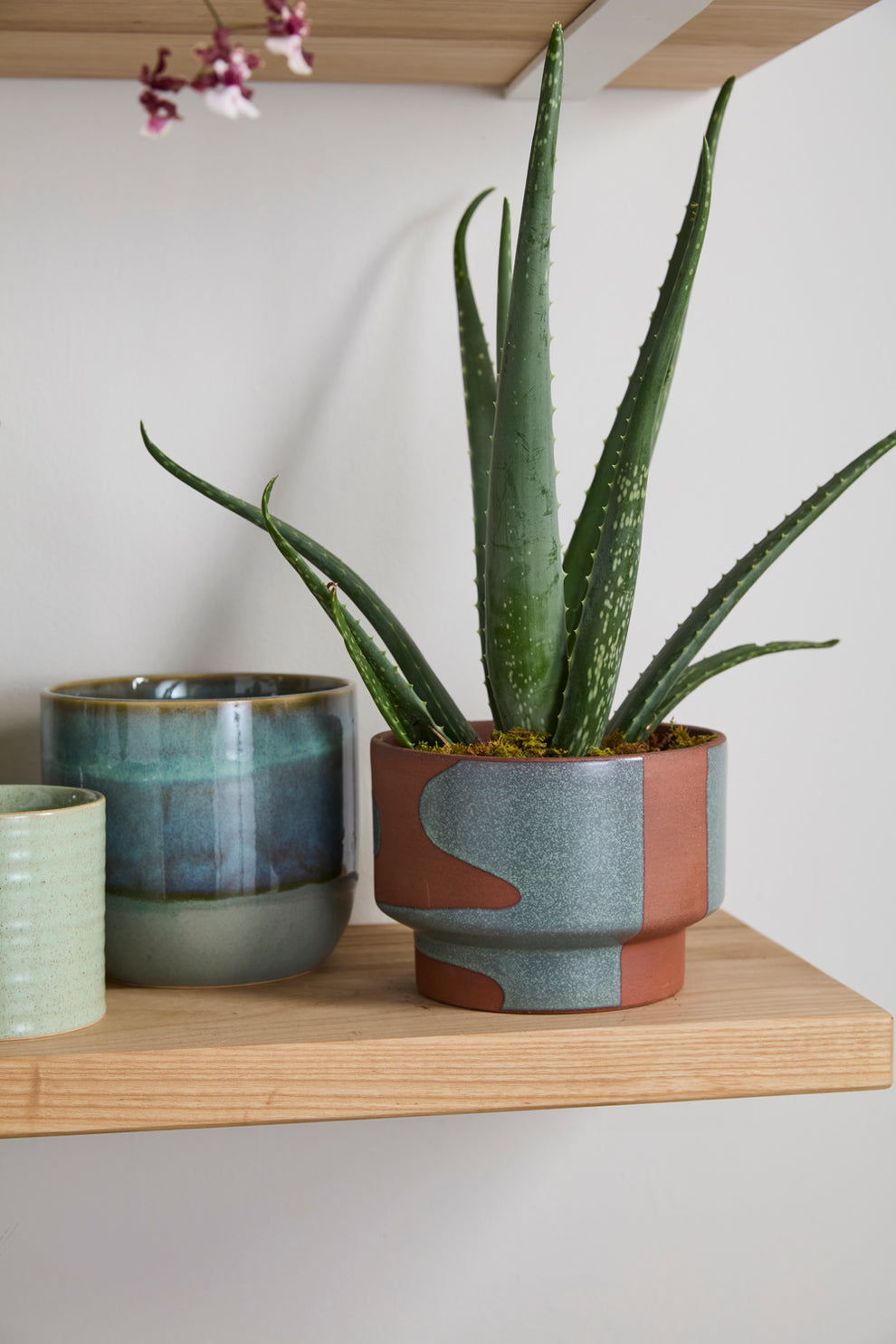 Shanti Pot Set of 2 By Accent Decor | Planters, Troughs & Cachepots | Modishstore - 8