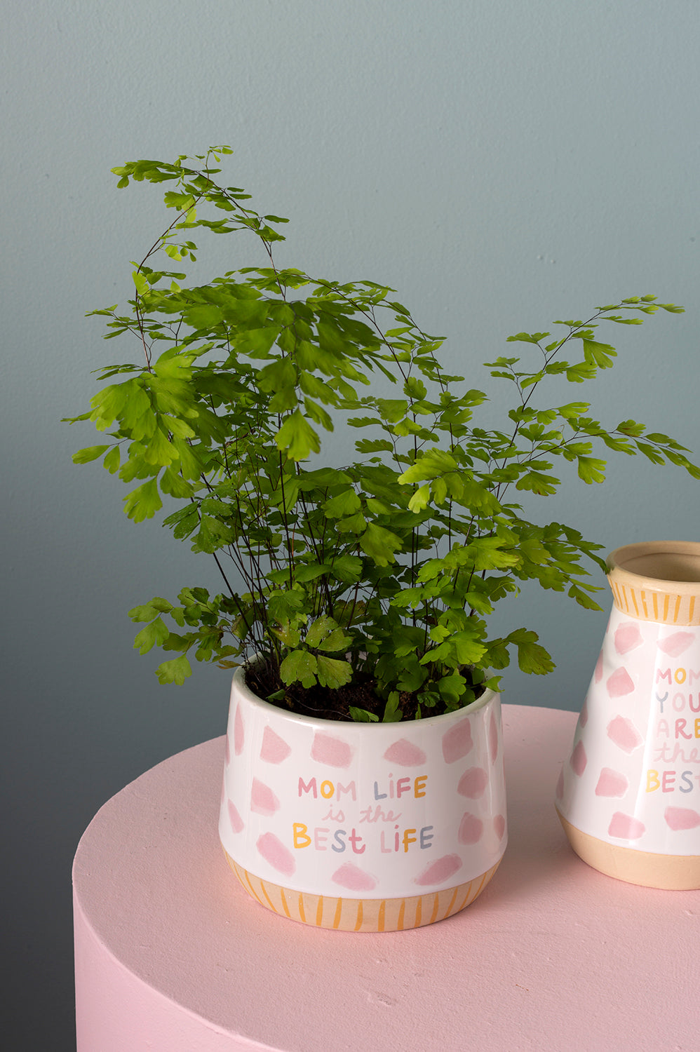 Motherhood Collection Set of 4 By Accent Decor | Planters, Troughs & Cachepots | Modishstore - 4
