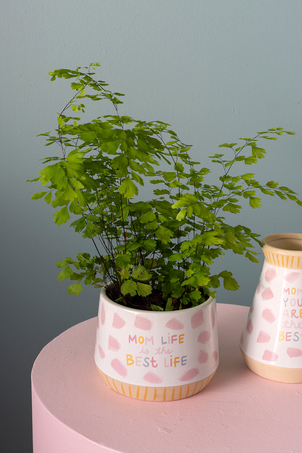 Motherhood Collection Set of 4 By Accent Decor | Planters, Troughs & Cachepots | Modishstore - 4